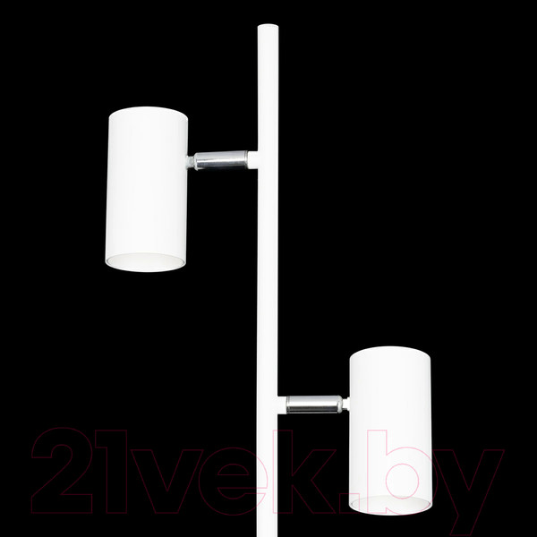 Изображение товара Торшер Citilux Twin CL809010N