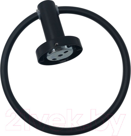 Изображение товара Кольцо для полотенца Saniteco TBD0597109201