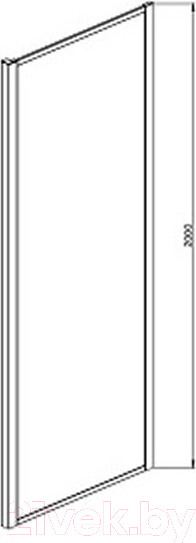 Изображение товара Душевая стенка Aquatek 100x200 / AQ ARI WA 10020CH (хром/прозрачное стекло)