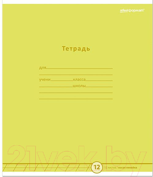 Изображение товара Набор тетрадей Schoolformat Стильные цвета / ТШКЛ12-СЦ-НМП (20шт)