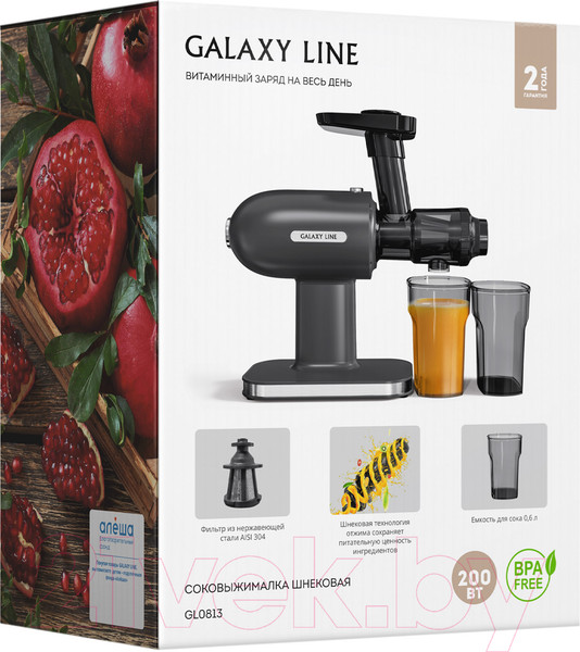 Изображение товара Соковыжималка электрическая Galaxy GL 0813