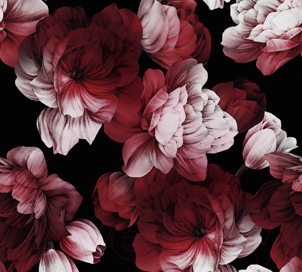 Изображение товара Фотообои листовые Vimala Настенные цветы 28 (270x300)