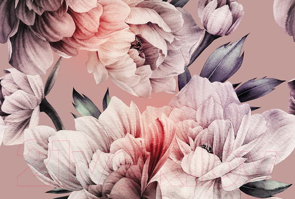 Изображение товара Фотообои листовые Vimala Настенные цветы 17 (270x400)