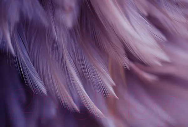 Изображение товара Фотообои листовые Vimala Перья 18 (270x400)