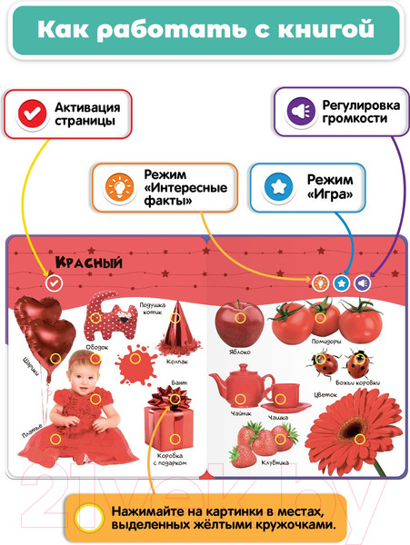 Изображение товара Музыкальная книга BertToys Нажималка Цвета / FD145