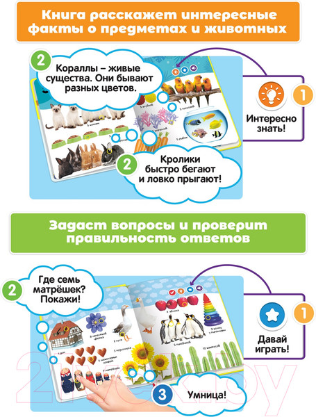 Изображение товара Музыкальная книга BertToys Нажималка Цифры / FD146