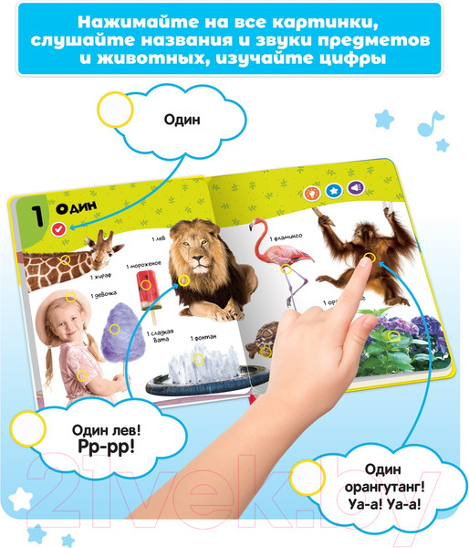 Изображение товара Музыкальная книга BertToys Нажималка Цифры / FD146