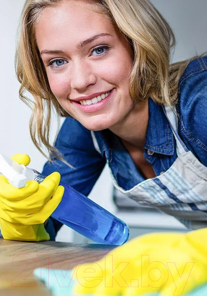 Изображение товара Салфетка хозяйственная Laima Двухсторонняя / 604686