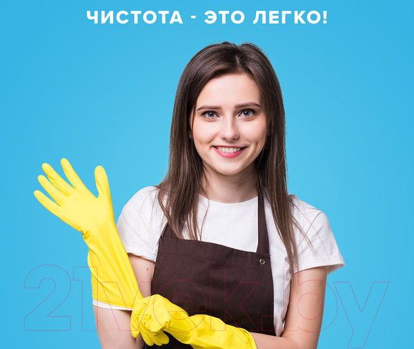 Изображение товара Чистящее средство для кухни Laima Антижир Распылитель 601613 (500мл)