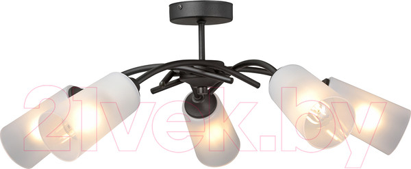 Изображение товара Люстра Vitaluce V2850-1/5PL