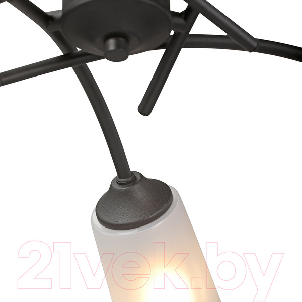 Изображение товара Люстра Vitaluce V2850-1/5PL