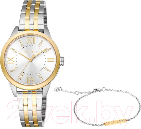 Изображение товара Часы наручные женские Esprit ES1L259M6085