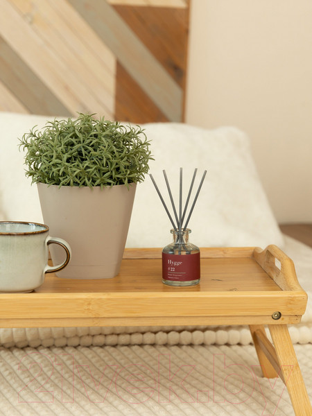 Изображение товара Аромадиффузор Arida Home Hygge №22 Персик и пион (50мл)