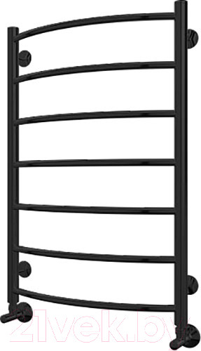 Изображение товара Полотенцесушитель водяной Terminus Классик П7 500x796 (RAL 9005, с наружной резьбой)