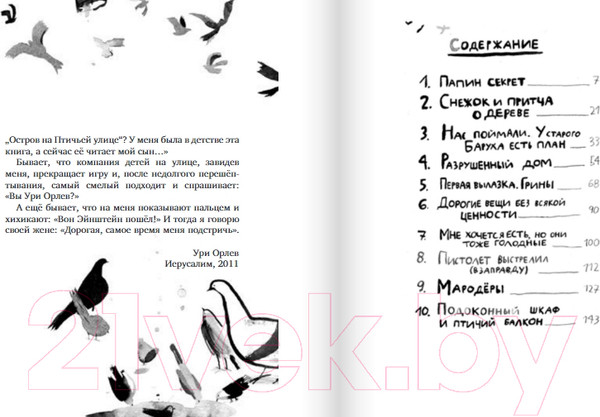 Изображение товара Книга Издательство Самокат Остров на Птичьей улице / 9785001675495 (Орлев У.)