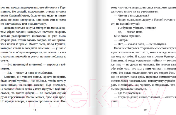 Изображение товара Книга Издательство Самокат Остров на Птичьей улице / 9785001675495 (Орлев У.)