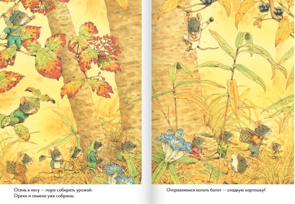 Изображение товара Развивающая книга Издательство Самокат 14 лесных мышей. Сладкая картошка, твердая обложка (Ивамура Кадзуо)