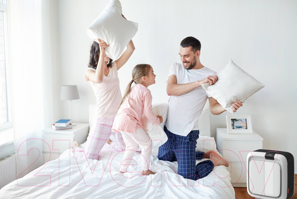 Изображение товара Климатический комплекс Boneco Air-O-Swiss H700