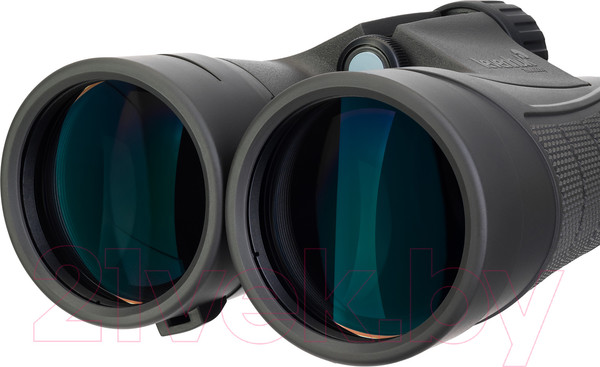 Изображение товара Бинокль Levenhuk Nitro 10x50 / 82613