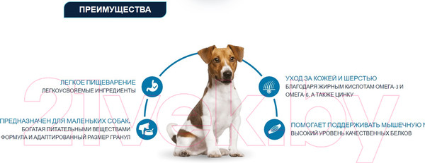 Изображение товара Сухой корм для собак Advance Mini Adult Chicken & Rice (7кг)