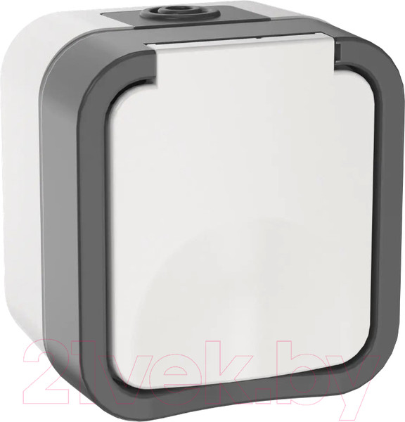 Изображение товара Розетка IEK Tors TS-R16-16-55-K41 (белый)
