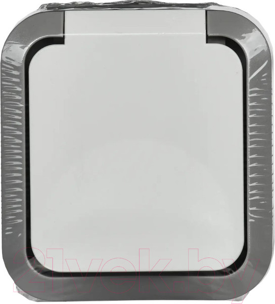 Изображение товара Розетка IEK Tors TS-R16-16-55-K41 (белый)