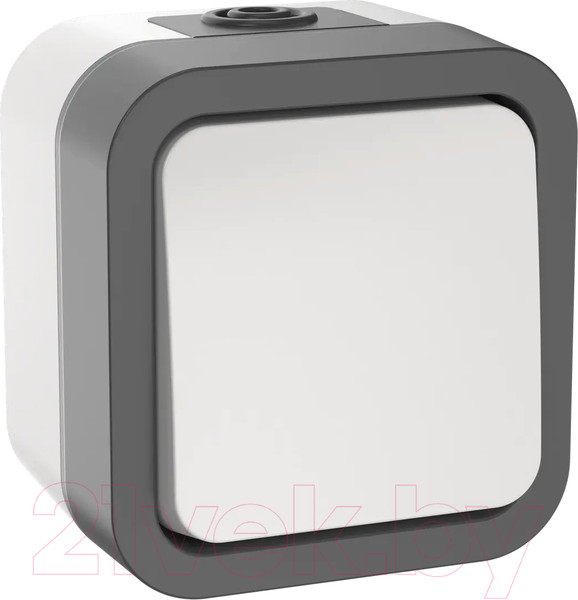 Изображение товара Выключатель IEK Tors TS-V10-0-10-55-K41 (белый)