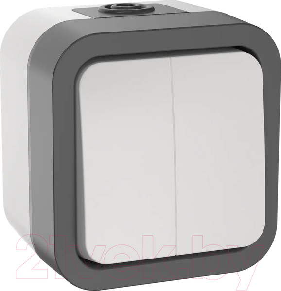 Изображение товара Выключатель IEK Tors TS-V20-0-10-55-K41 (белый)
