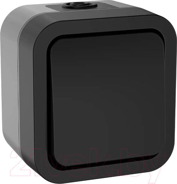 Изображение товара Выключатель IEK Tors TS-V10-0-10-55-K53 (графит)