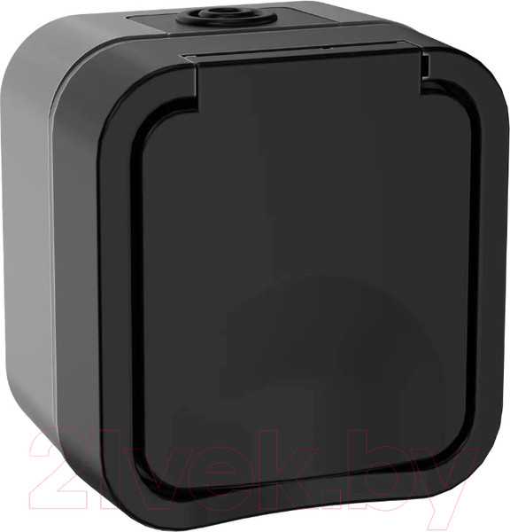 Изображение товара Розетка IEK Tors TS-R16-16-55-K53 (графит)
