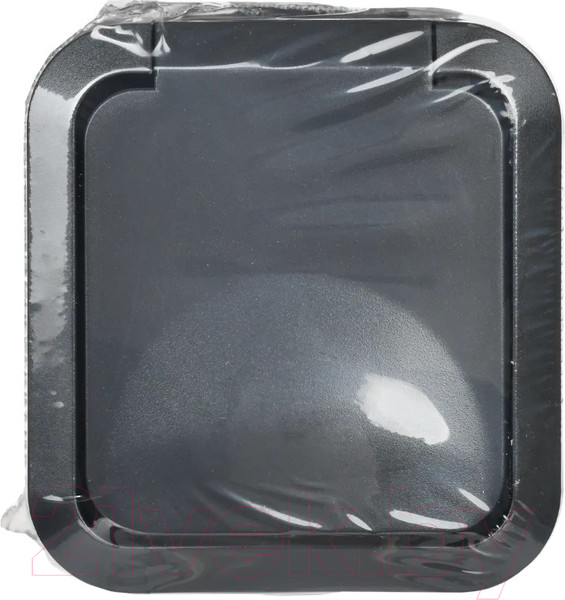 Изображение товара Розетка IEK Tors TS-R16-16-55-K53 (графит)
