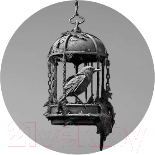 Изображение товара Книга Inspiria Безмолвные узницы / 9785041901097 (Монтес Р., Касой И.)