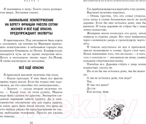 Изображение товара Книга Эксмо Шторм по имени Френки / 9785041780739 (Скиннер Н.)