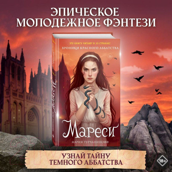 Изображение товара Книга Эксмо Мареси / 9785041680725 (Турчанинофф М.)
