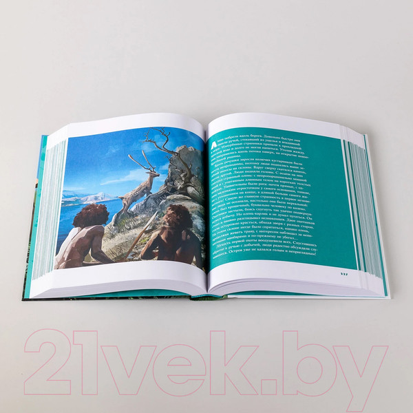 Изображение товара Книга Альпина Борьба за обед. Еще 50 баек из грота / 9785001398455 (Дробышевский С.)