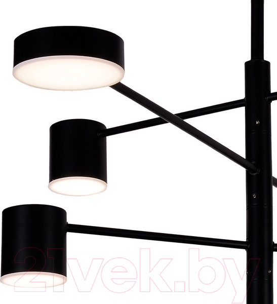 Изображение товара Люстра Kinklight Мекли 07650-8D.19(4000K) (черный)