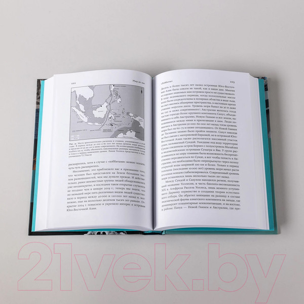 Изображение товара Книга Альпина Мир до нас. Новый взгляд на происхождение человека (Хайэм Т.)