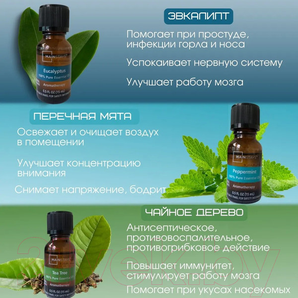Изображение товара Набор эфирных масел Mainstays Эвкалипт Мята Чайное дерево (3x15мл)