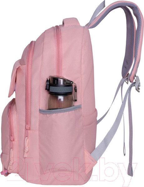 Изображение товара Школьный рюкзак Merlin M853 (розовый)