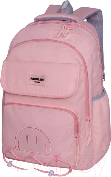 Изображение товара Школьный рюкзак Merlin M853 (розовый)