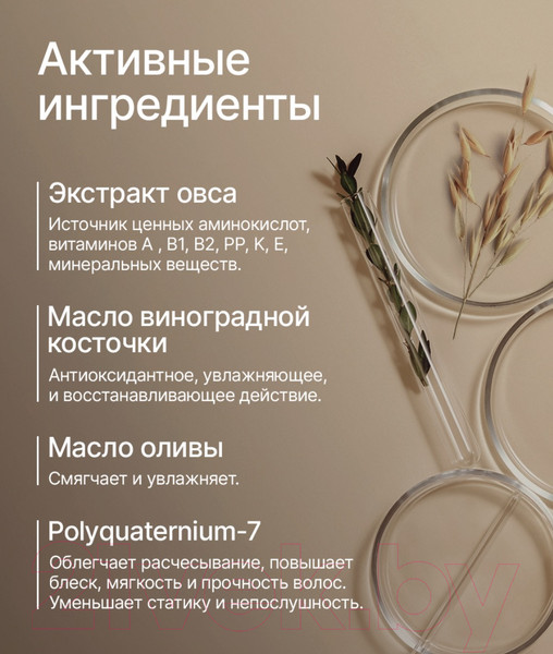Изображение товара Шампунь для волос NICE by Septivit For Men Для всех типов волос (1л)