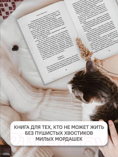 Изображение товара Книга Никея Рождественский ковчег. Истории про людей и зверей (Алексеева О. и др.)