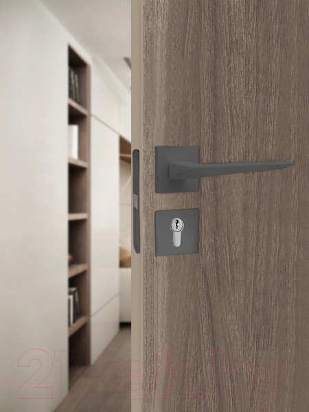 Изображение товара Ручка дверная Vrata 2176 серия 03 Slim (графит)