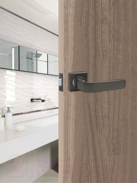 Изображение товара Ручка дверная Trodos 225 серия 02 (графит)