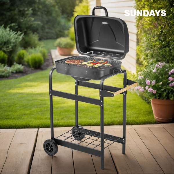 Изображение товара Электрогриль Sundays DD02-007