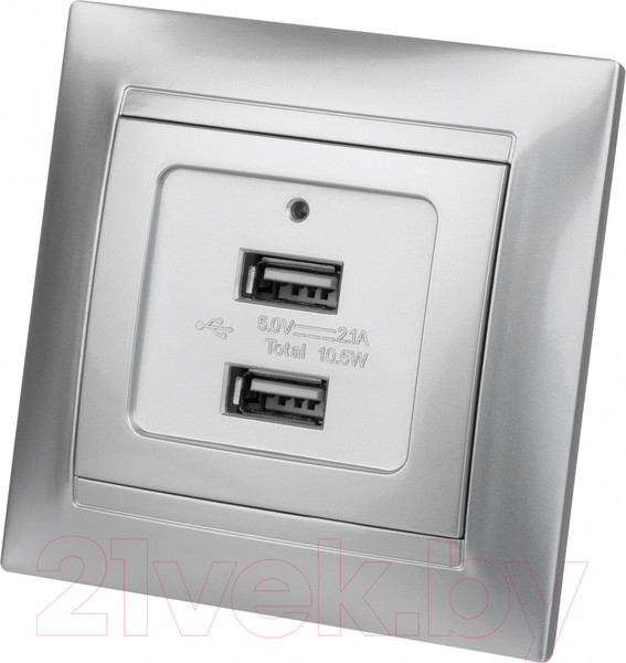 Изображение товара Розетка TDM Лама SQ1815-0241 (металлик)