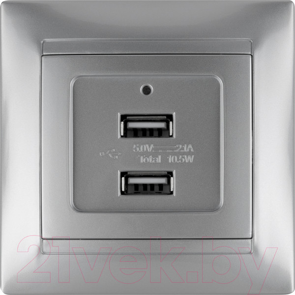 Изображение товара Розетка TDM Лама SQ1815-0241 (металлик)