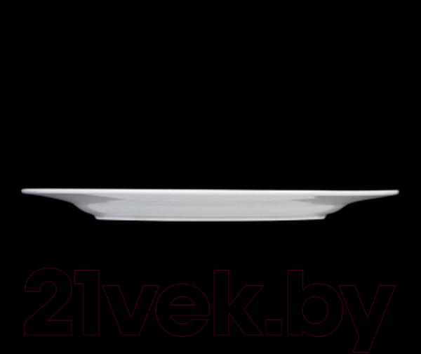 Изображение товара Тарелка столовая обеденная Corone Rosenthal XSY3804 / фк9900 (голубой)