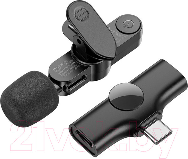 Изображение товара Микрофон Borofone BFK12 Type-C (черный)