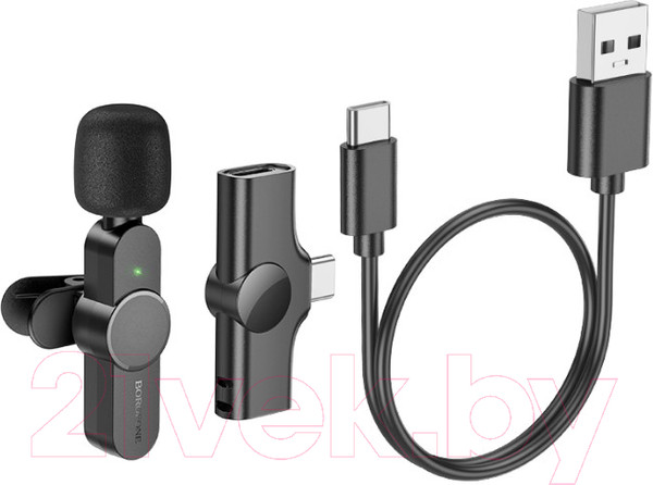 Изображение товара Микрофон Borofone BFK12 Type-C (черный)